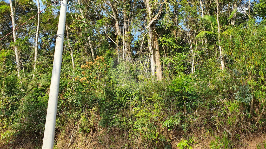 Terreno a Venda em Cotia/SP