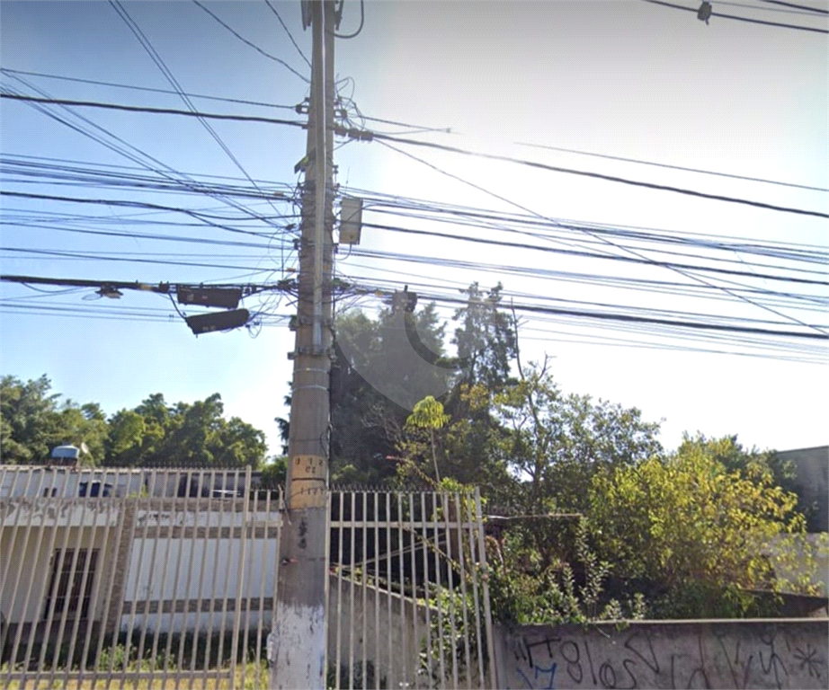 TERRENO em GUAIANAZES