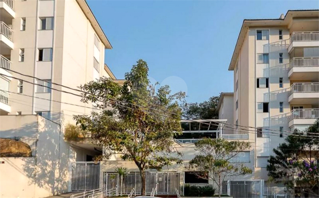 APARTAMENTO em HORTO