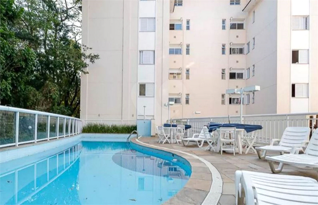 APARTAMENTO em HORTO