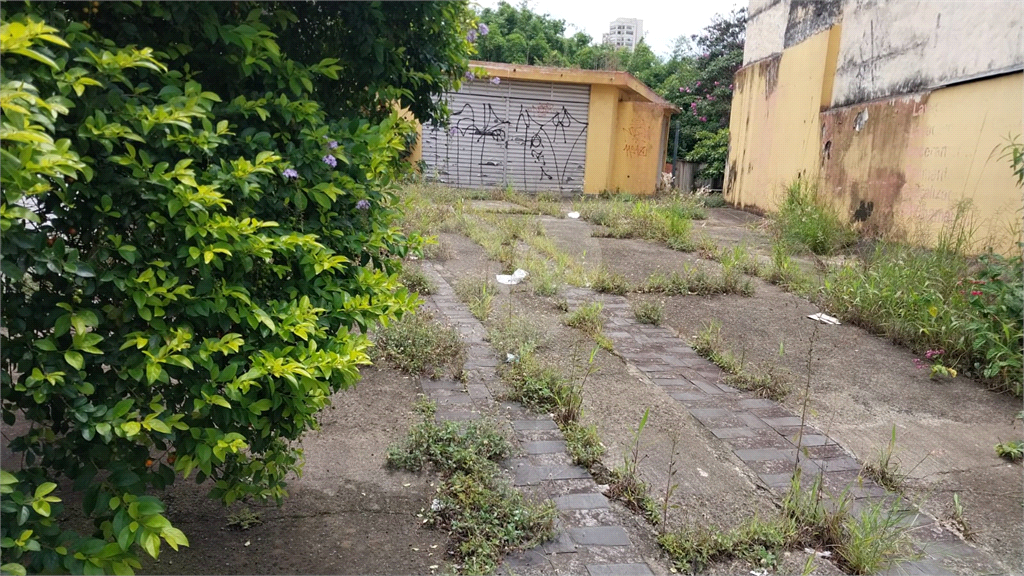 TERRENO em SANTANA