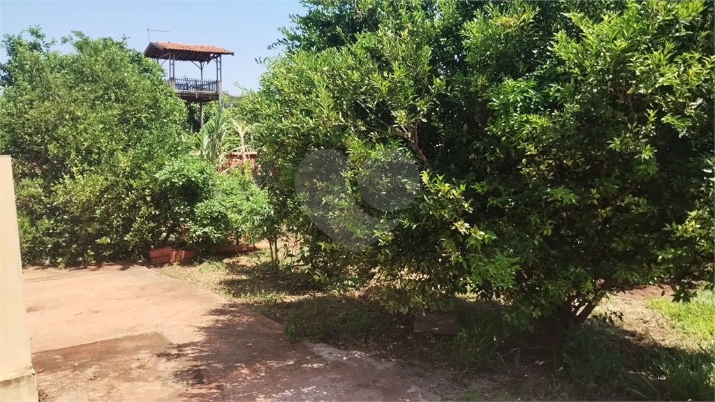 Fazenda à venda com 2 quartos, 350m² - Foto 29