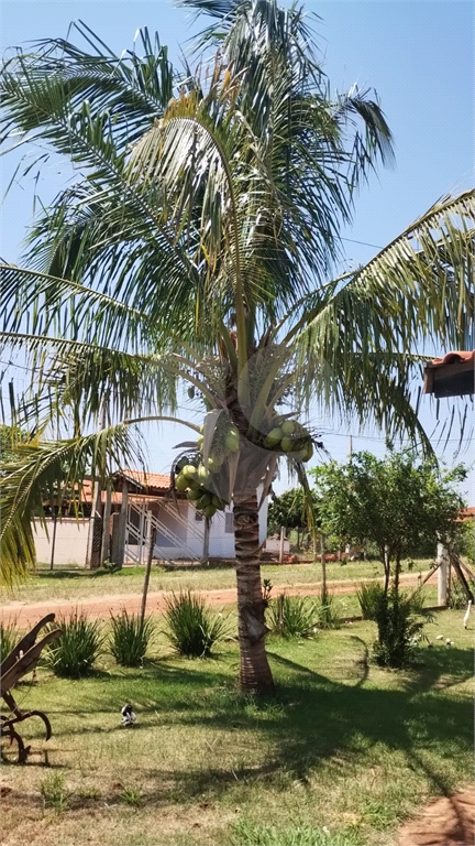 Fazenda à venda com 2 quartos, 350m² - Foto 10