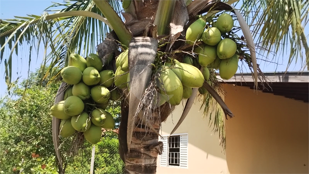 Fazenda à venda com 2 quartos, 350m² - Foto 28