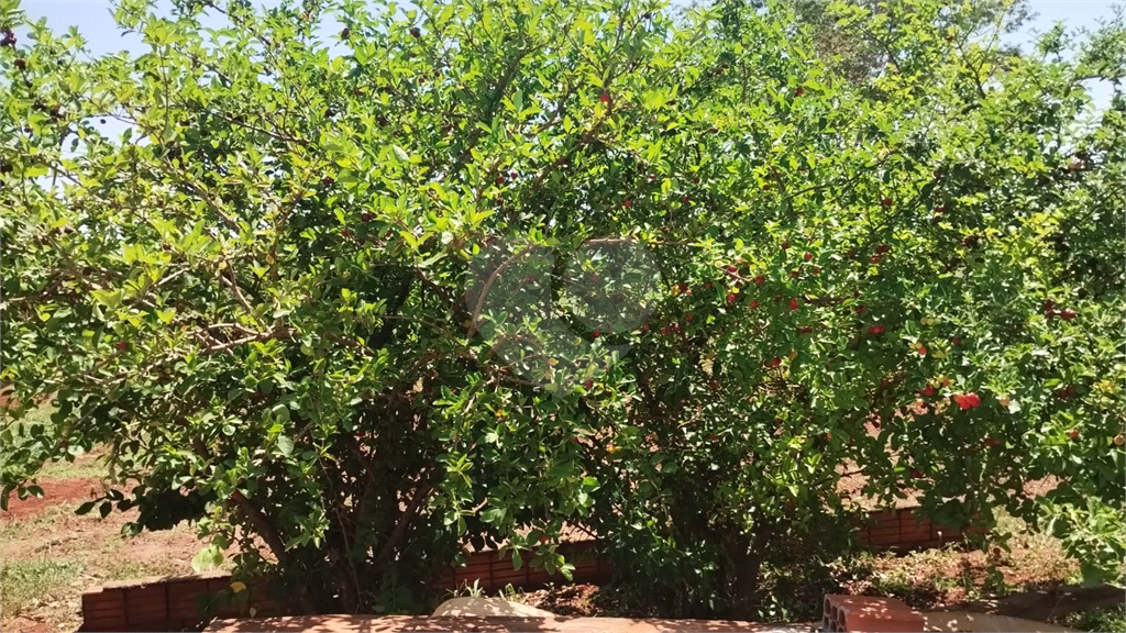 Fazenda à venda com 2 quartos, 350m² - Foto 27