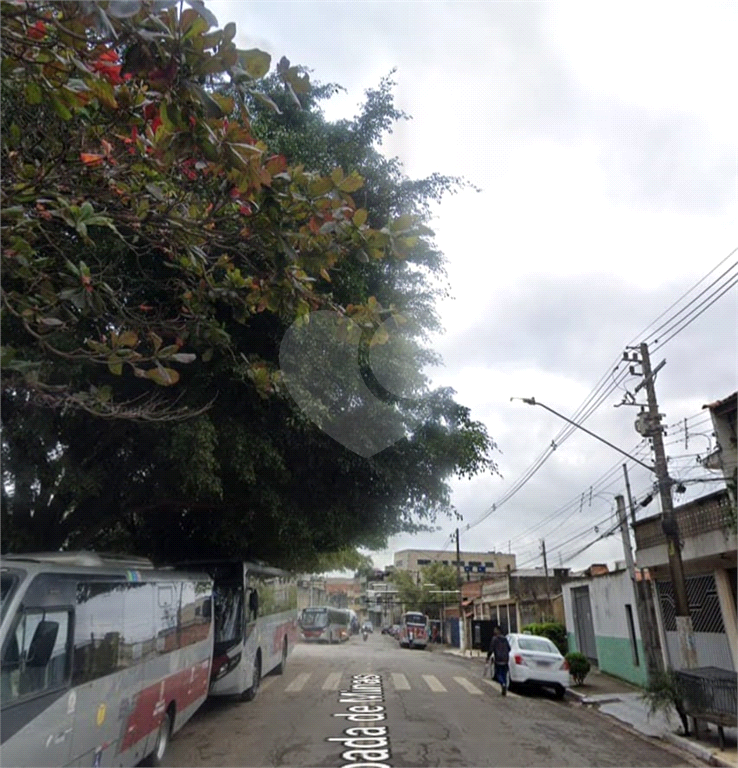TERRENO em CAMPO LIMPO