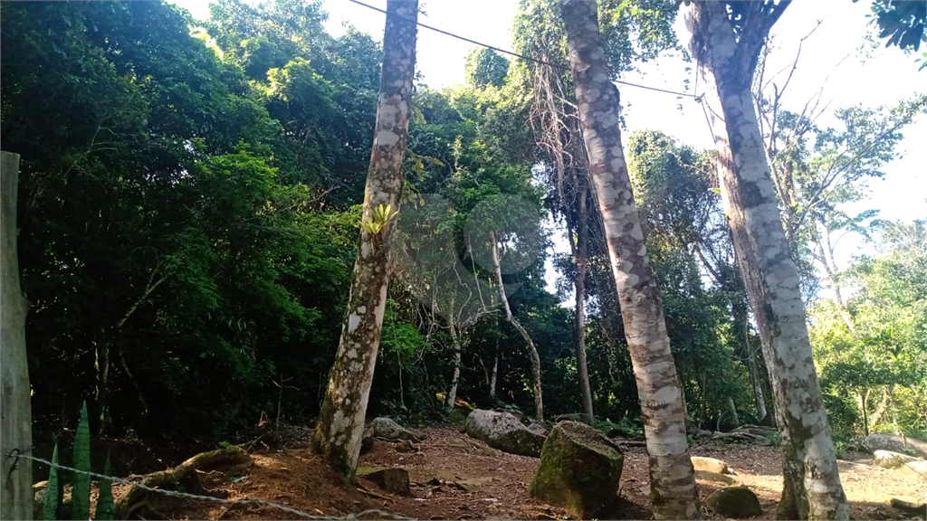 Terreno à venda, 3000m² - Foto 5