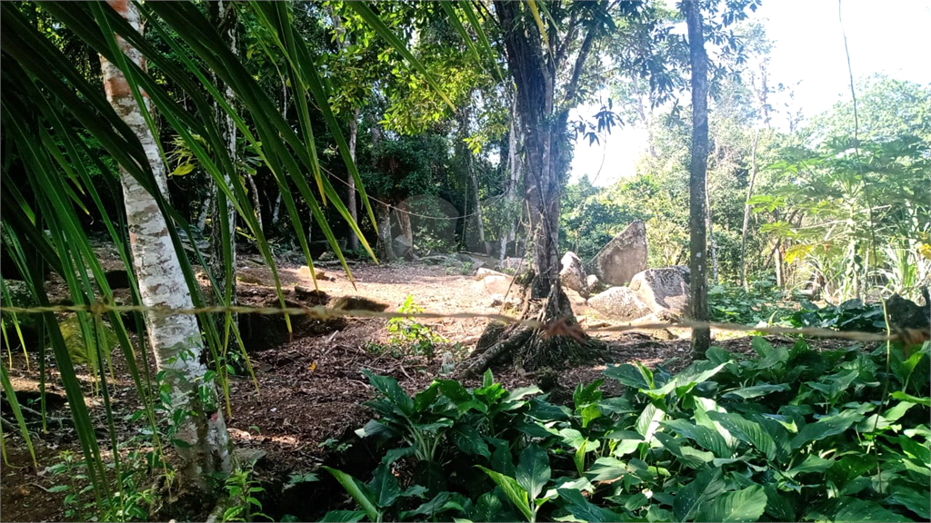 Terreno à venda, 3000m² - Foto 4