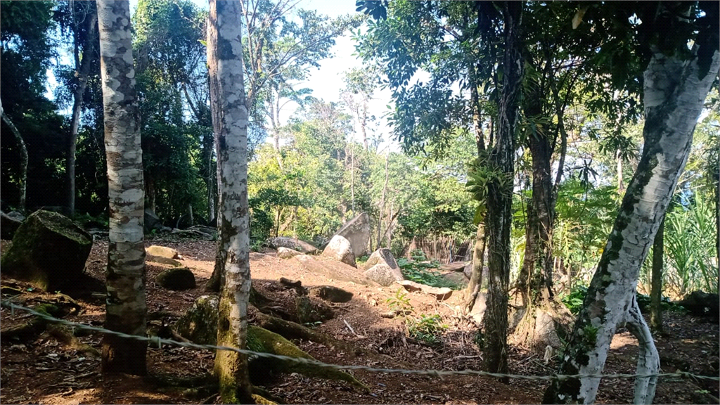 Terreno à venda, 3000m² - Foto 3