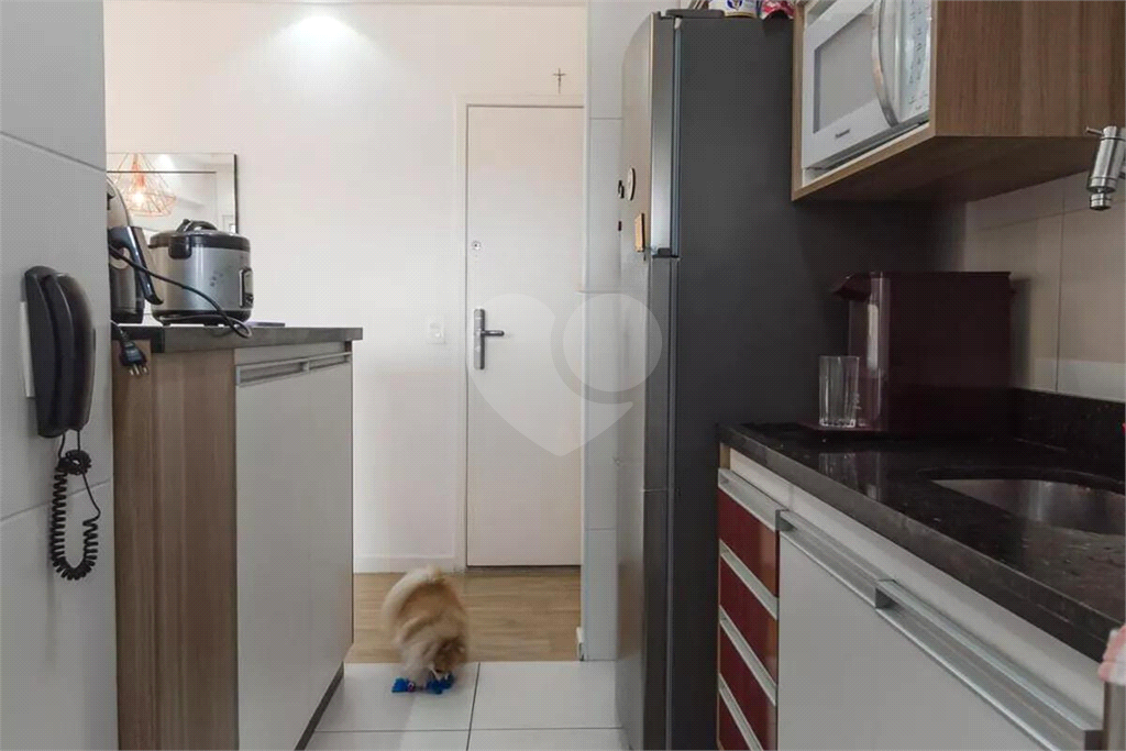 APARTAMENTO em CASA VERDE