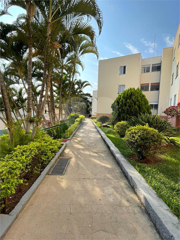 APARTAMENTO em PAULICÉIA