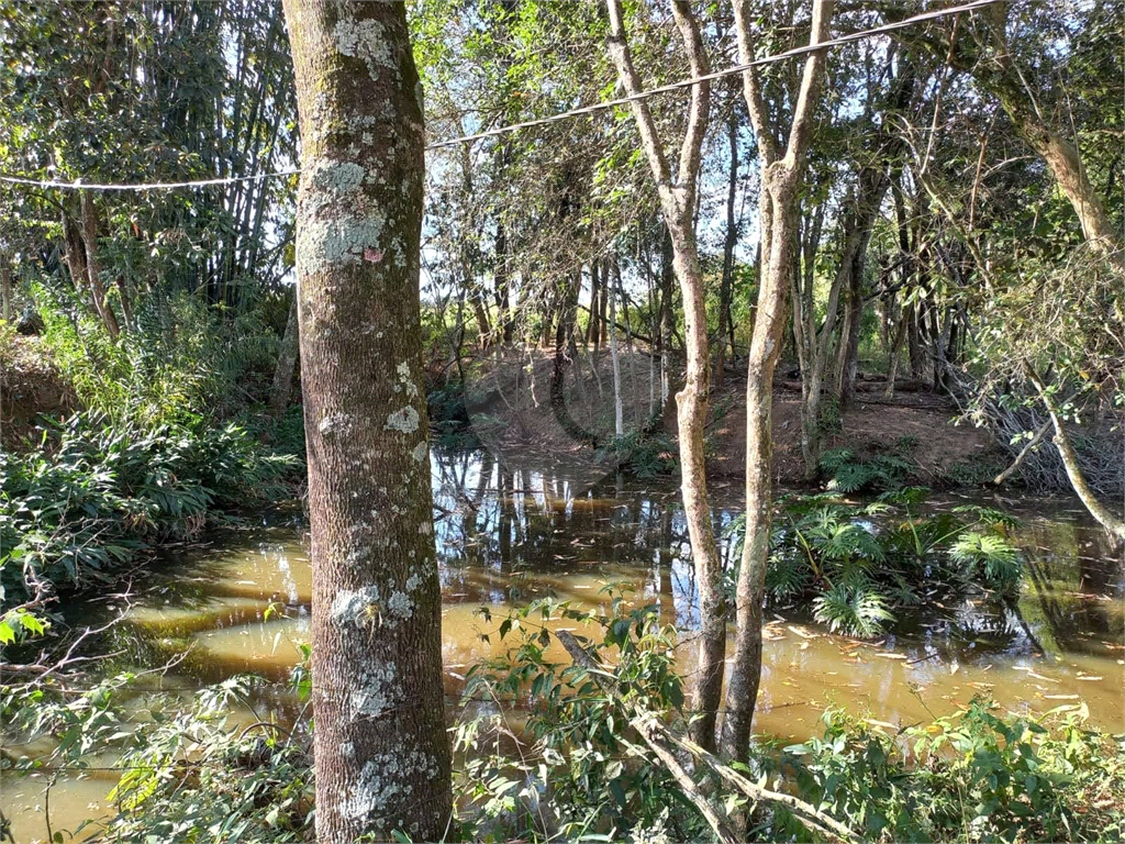 Sítio à venda com 2 quartos, 24200m² - Foto 10