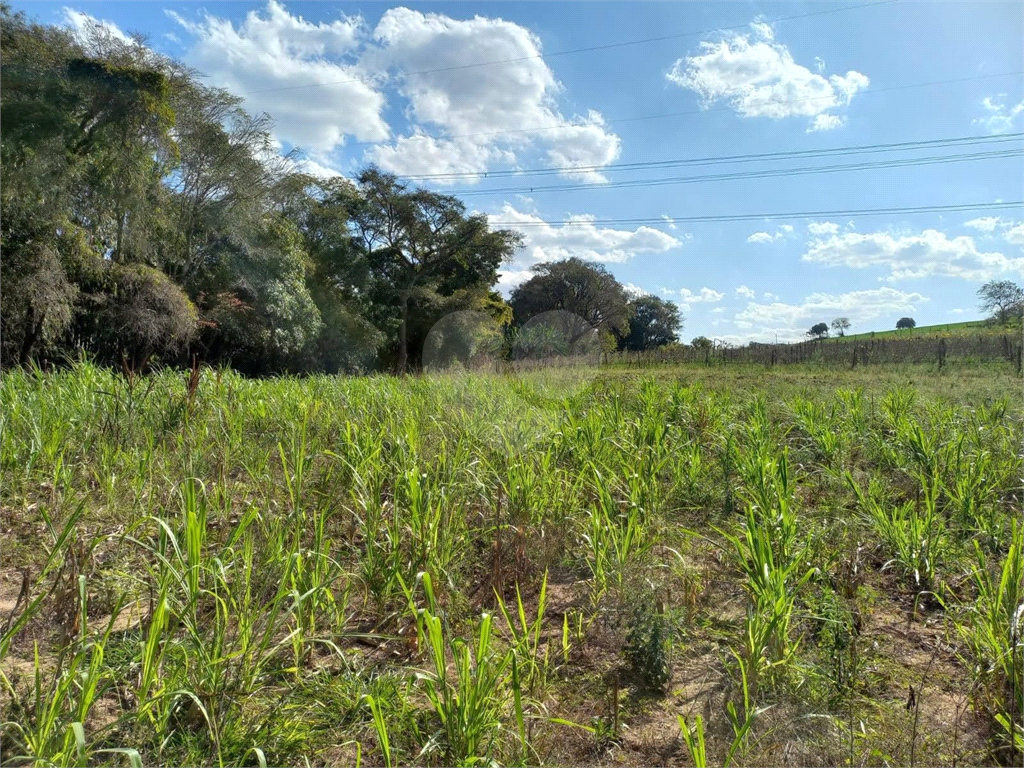 Sítio à venda com 2 quartos, 24200m² - Foto 3