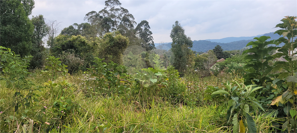 Casa de Condomínio - Foto 10