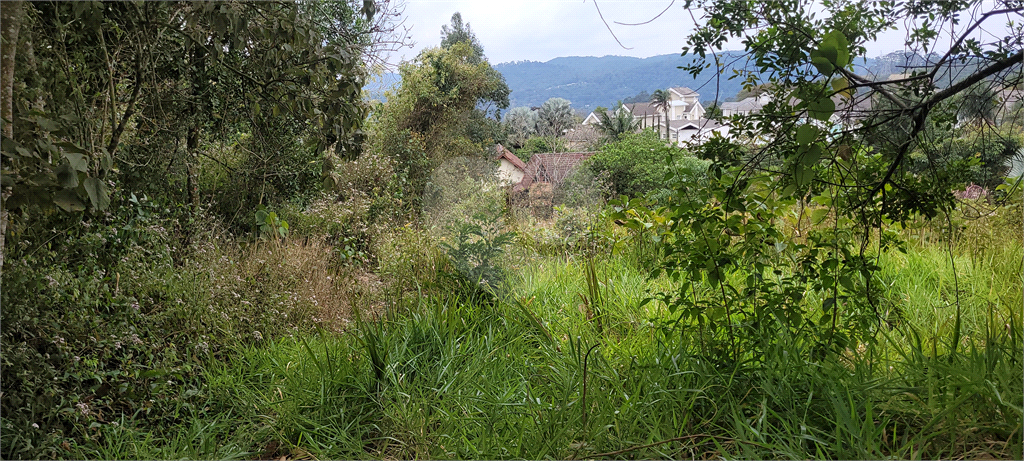 Casa de Condomínio - Foto 1