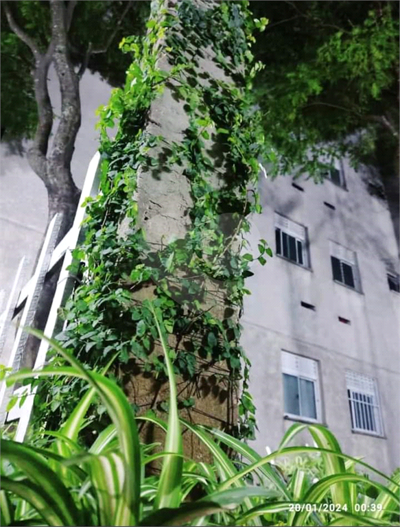 APARTAMENTO em JARAGUÁ