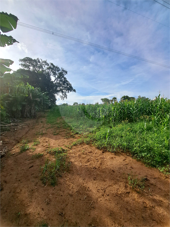 Terreno à venda, 24200m² - Foto 16