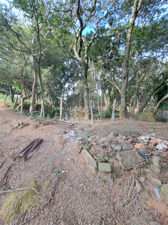 Terreno à venda, 24200m² - Foto 20