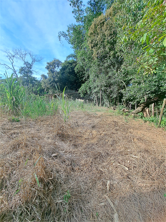Terreno à venda, 24200m² - Foto 19