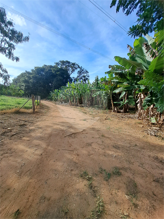 Terreno à venda, 24200m² - Foto 25