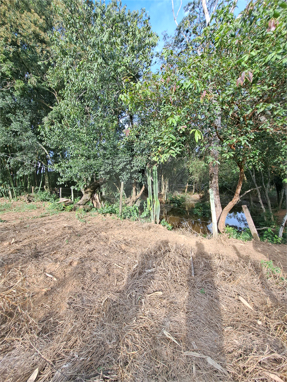 Terreno à venda, 24200m² - Foto 22