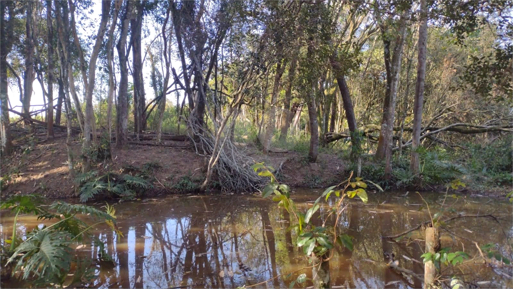 Terreno à venda, 24200m² - Foto 12