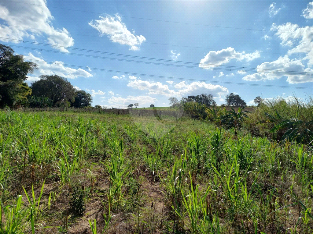 Terreno à venda, 24200m² - Foto 6
