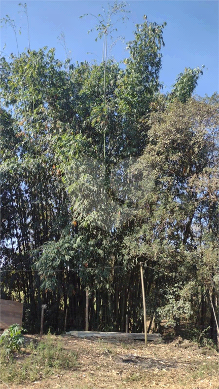Terreno à venda, 24200m² - Foto 10