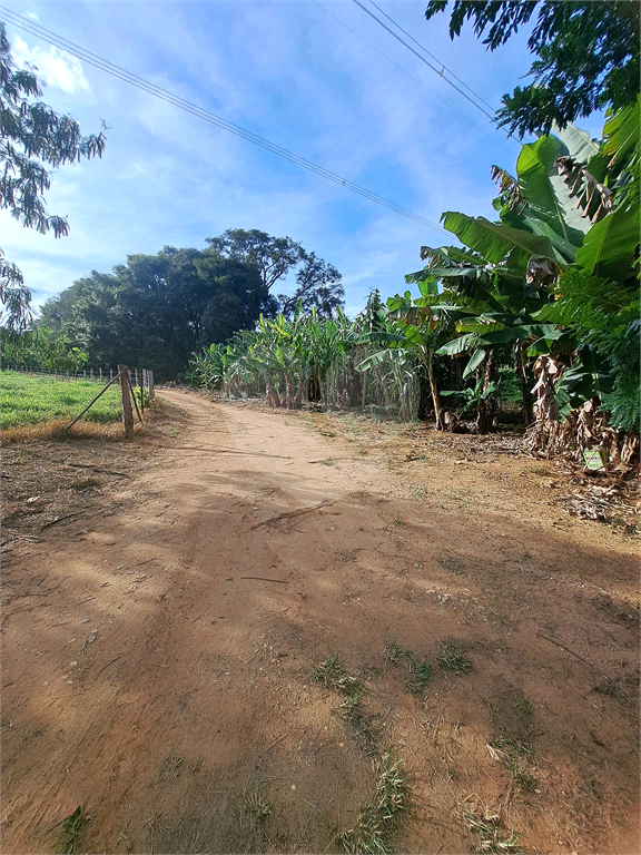 Terreno à venda, 24200m² - Foto 26
