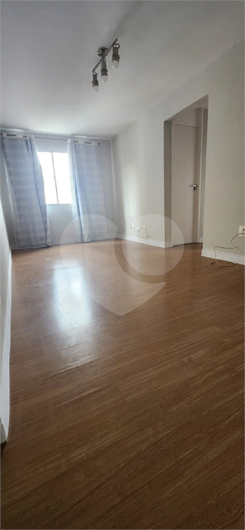 APARTAMENTO em HORTO