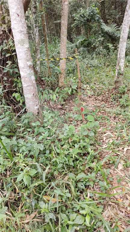 Terreno à venda, 960m² - Foto 5