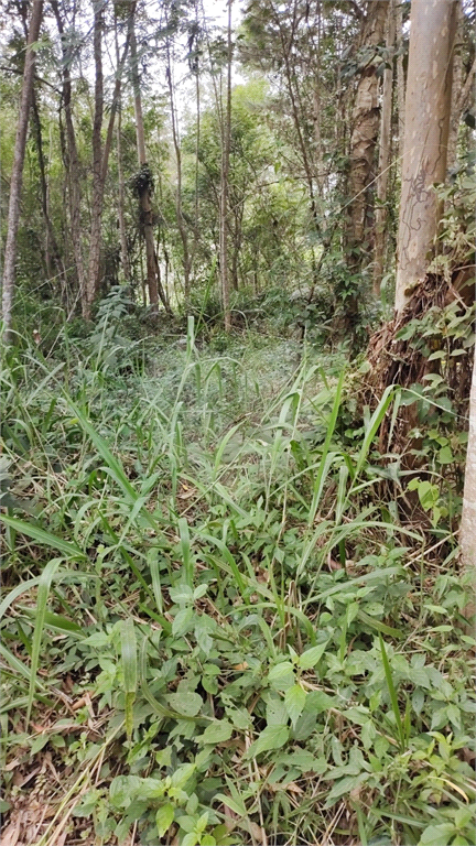 Terreno à venda, 960m² - Foto 4