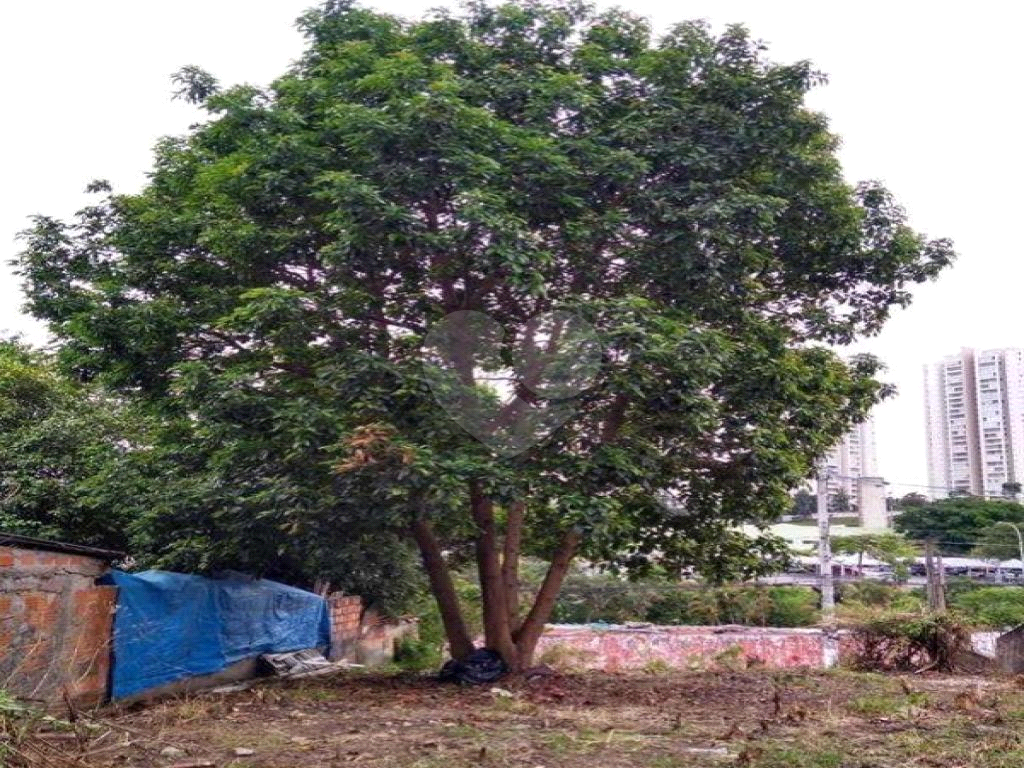 Terreno, 257 m² - Foto 2