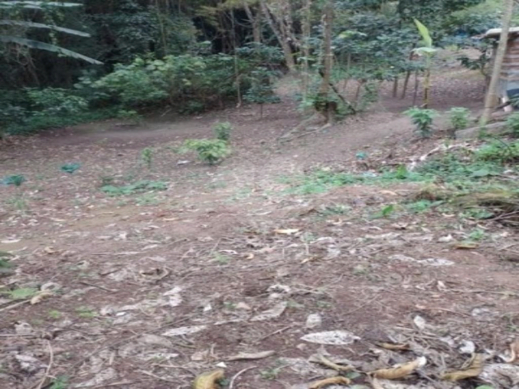 Terreno, 2300 m² - Foto 2