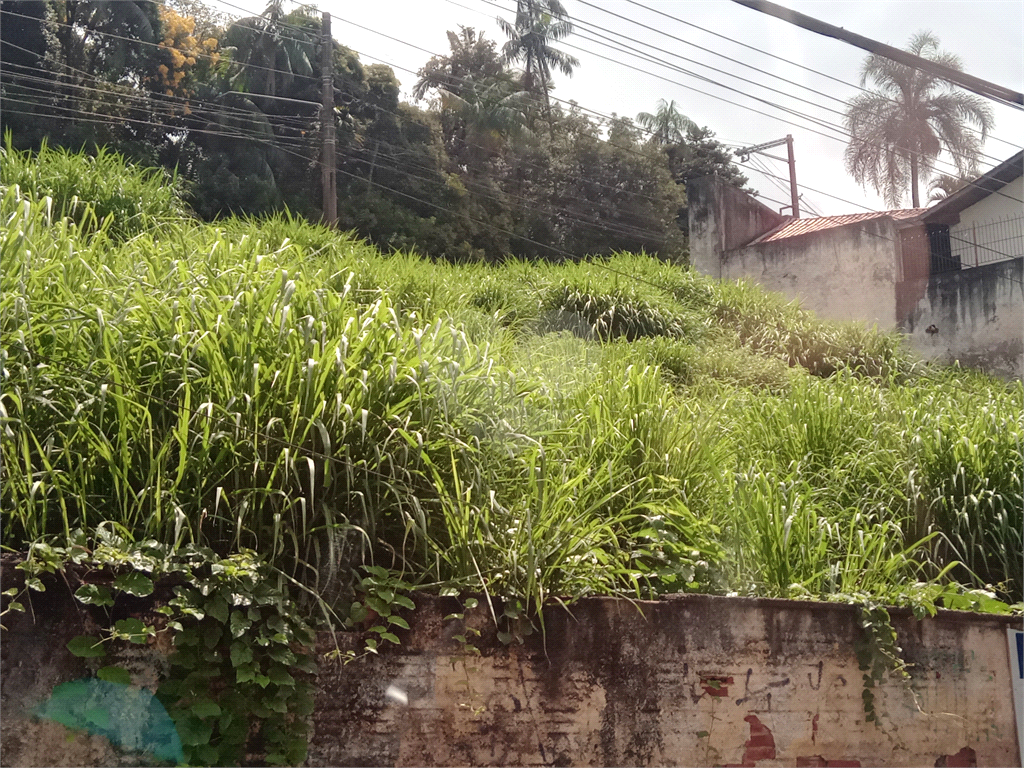 Terreno amplo no Horto para construtores