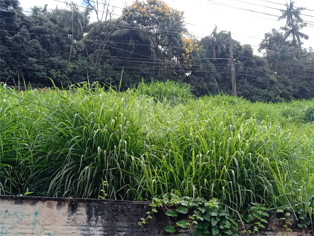Terreno amplo no Horto para construtores