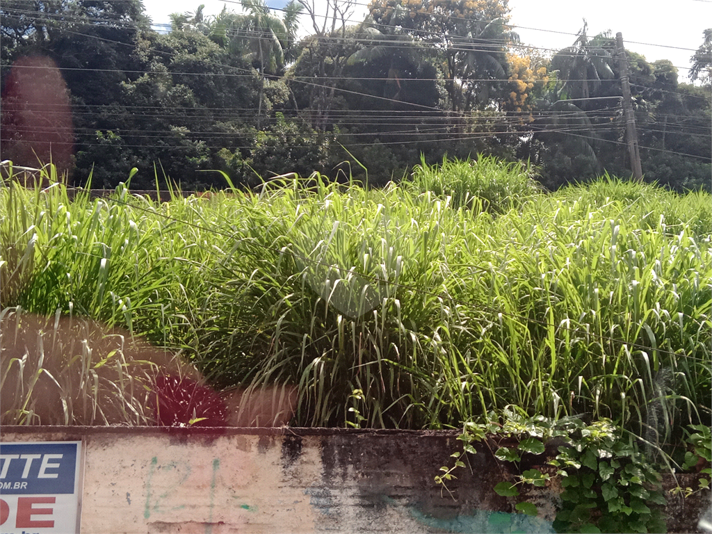 Terreno amplo no Horto para construtores
