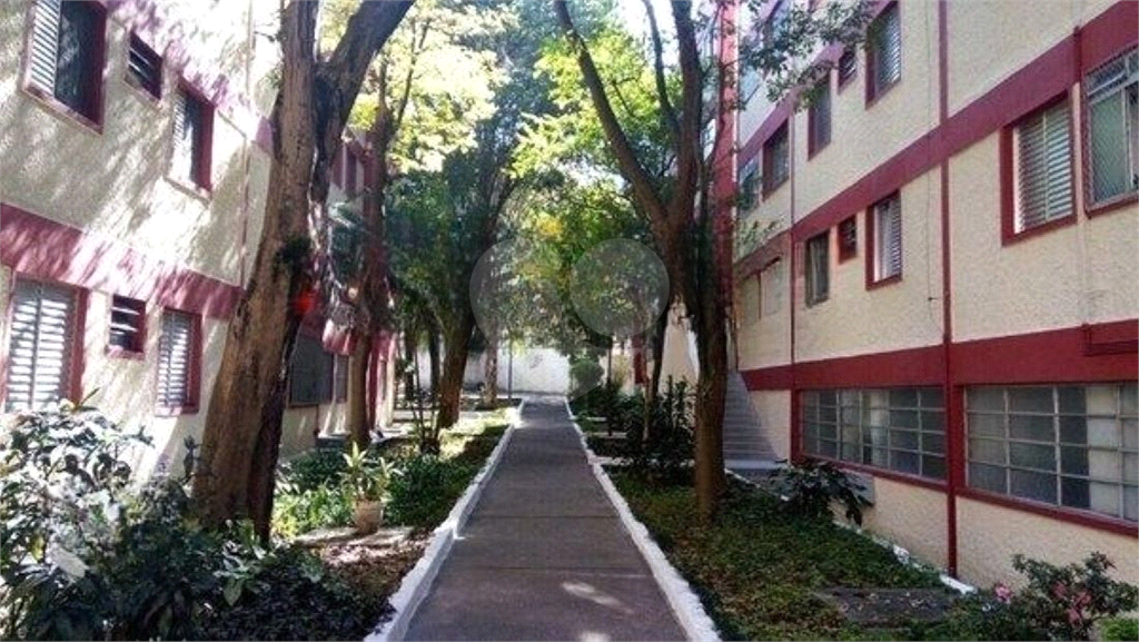 Apartamento para venda 67 m 3 quartos no Jaçanã