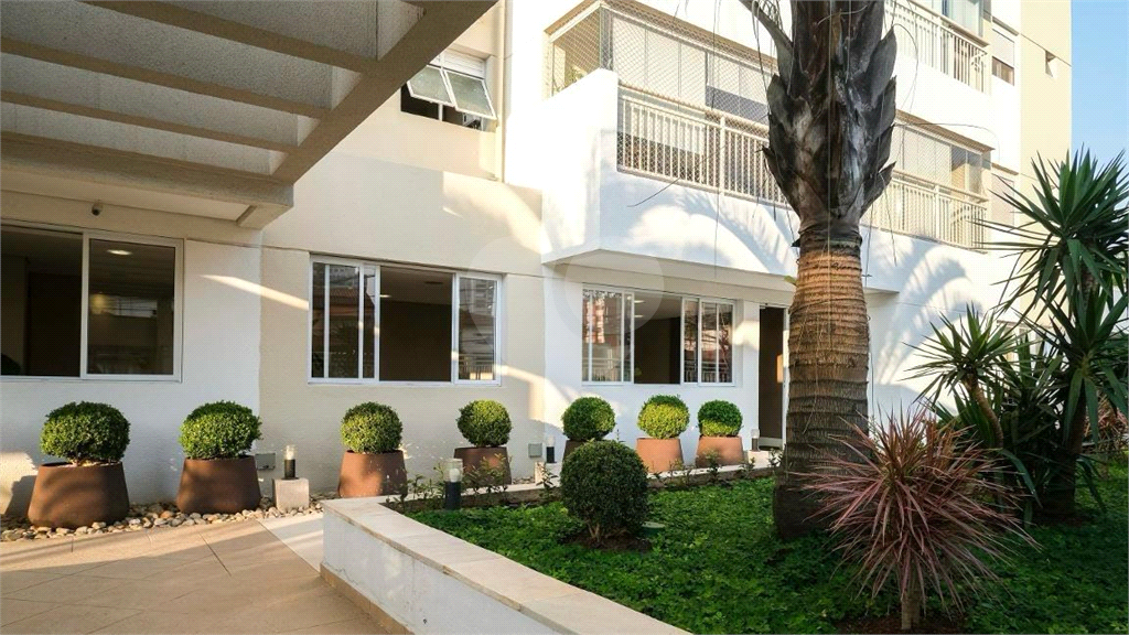 Apartamento para venda na Santa Teresinha