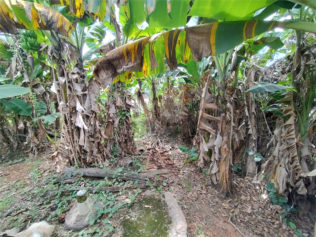 Chácara à venda com 5 quartos, 500m² - Foto 9