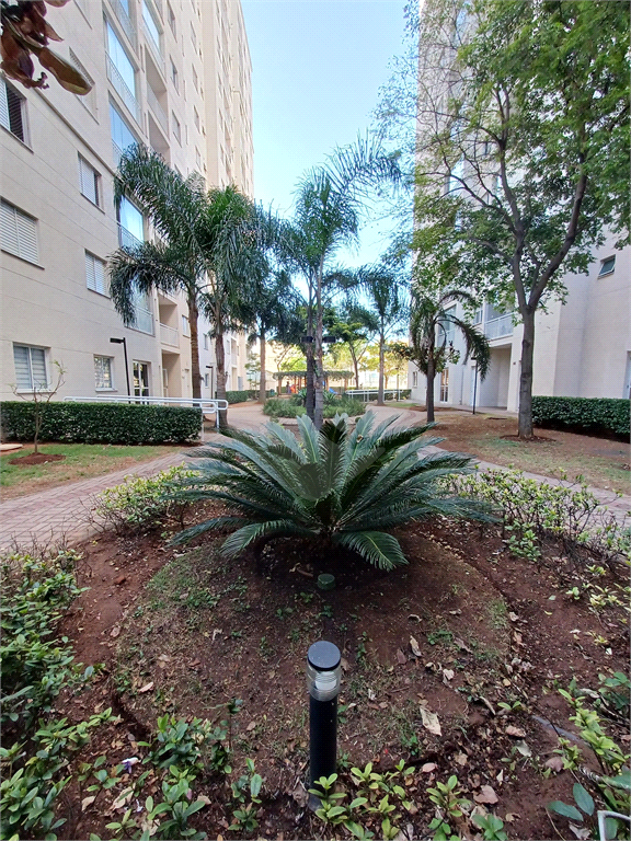 Apartamento 3 dormitórios, 1 suíte, banheiro social, Lazer completo e 1 vaga - Vila Guilherme