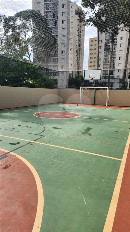 Apartamento Residencial - Pirituba