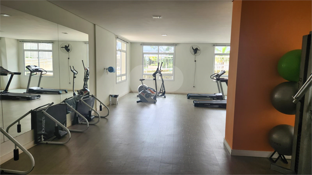 Apartamento Residencial - Pirituba