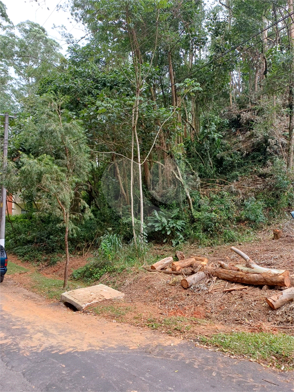 Terreno à venda, 600m² - Foto 2