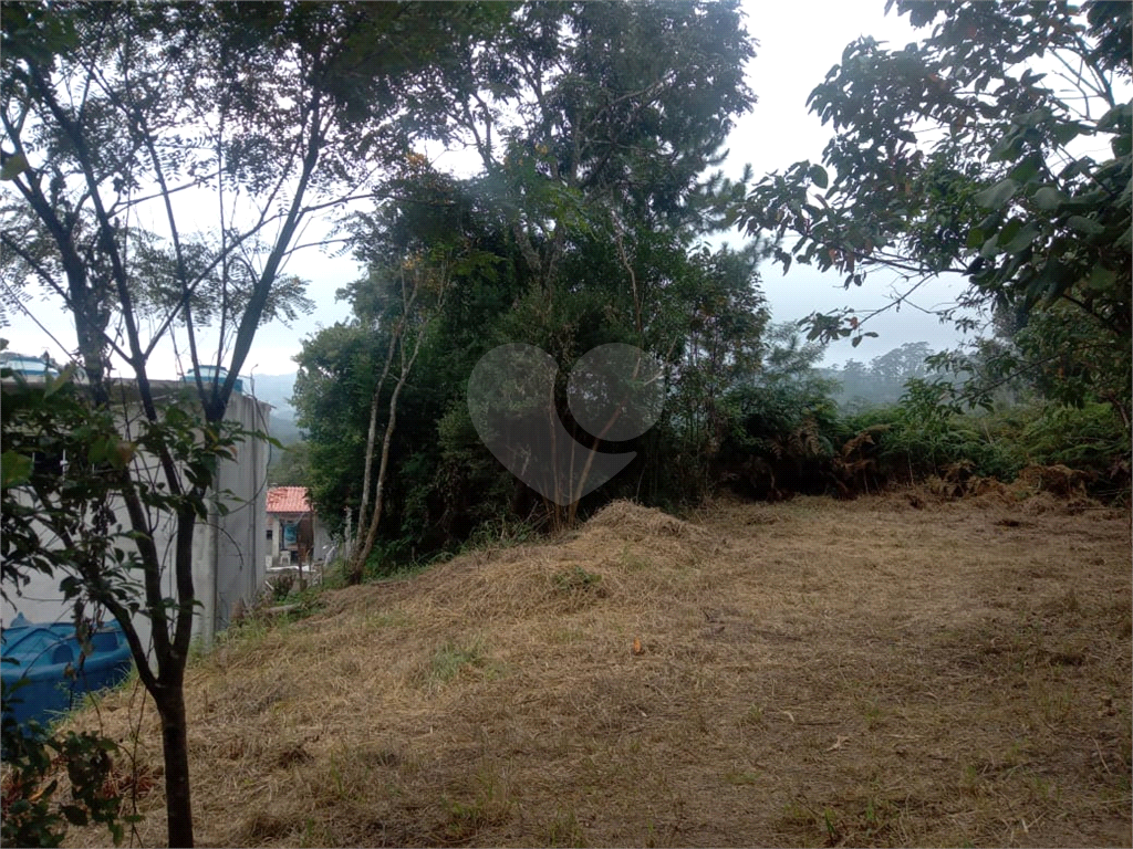 Terreno à venda, 2400m² - Foto 2