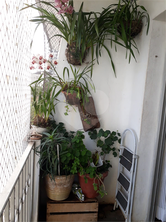 APARTAMENTO em SANTANA
