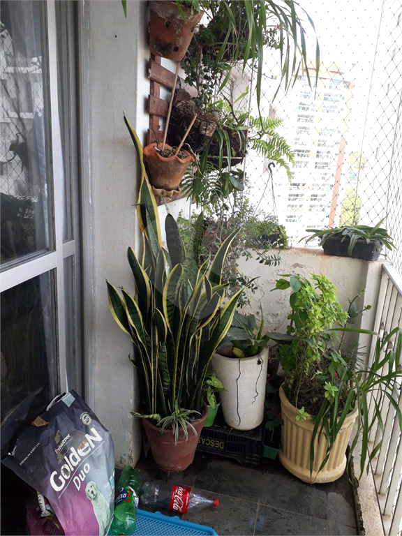 APARTAMENTO em SANTANA