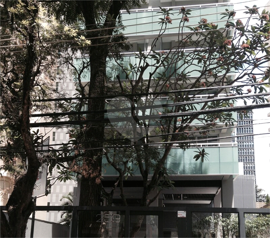Foto 15