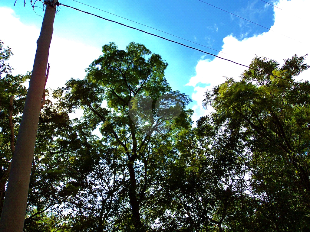 Terreno Loteamento de Sítios de Recreio Aporá de São Fernando São Carlos 