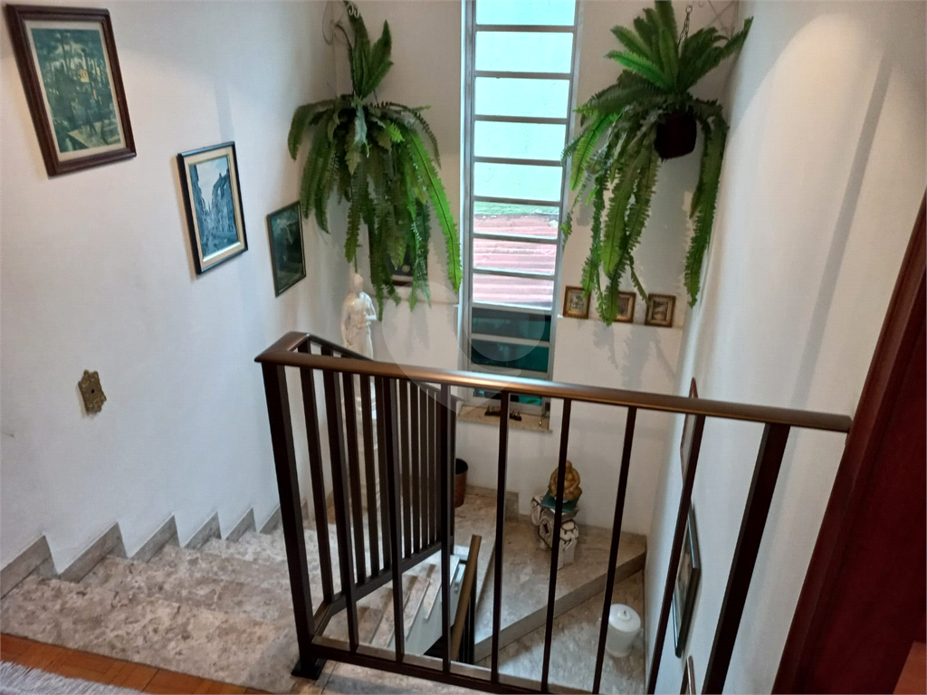 Terreno de 525 m² com 15 metros de frente Ideal para Galpão na Vila Anastácio!                      